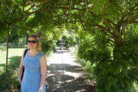 Wisteria Walk