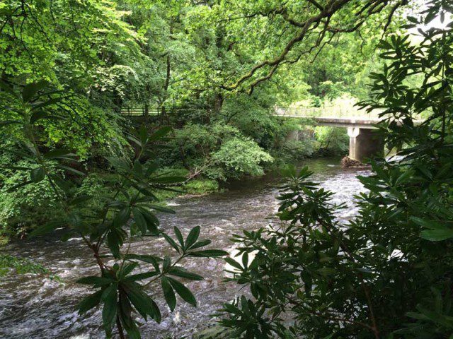 River Ystwyth