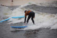 Avoiding the carnage