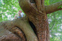 Climbing