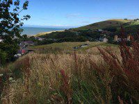 House in a Hill