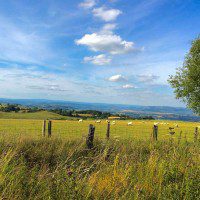Kerry Ridgeway View