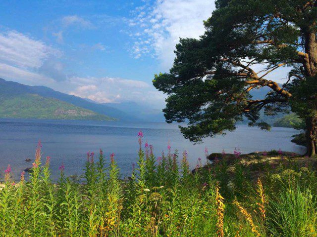 Loch Lomond Views