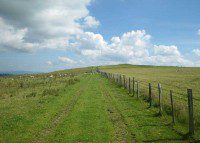 Onto the Ridge