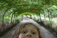 Photo Bombing the Laburnum Arch