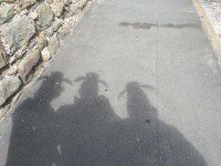 Shadows