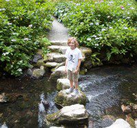 Stepping Stones