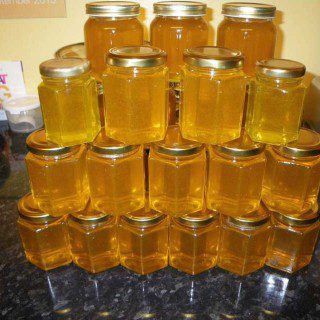 Full Harvest