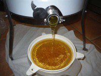 Mmm Honey