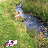 Mountain Stream