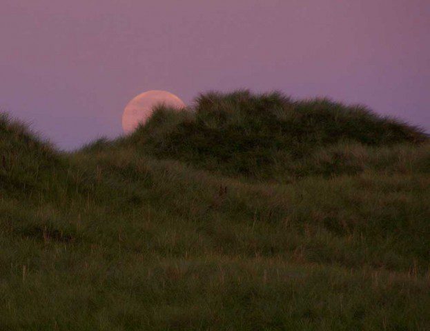 Moon Behind the Dunes