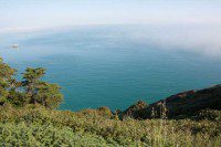 Sea Mist