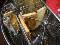 Sparkly Extractor
