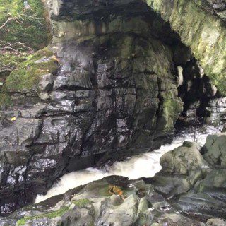Torrents under the bridge