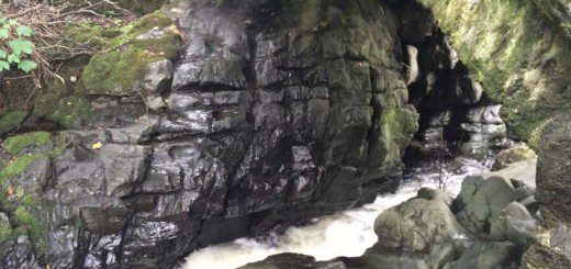 Torrents under the bridge