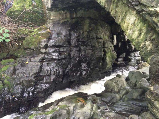 Torrents under the bridge
