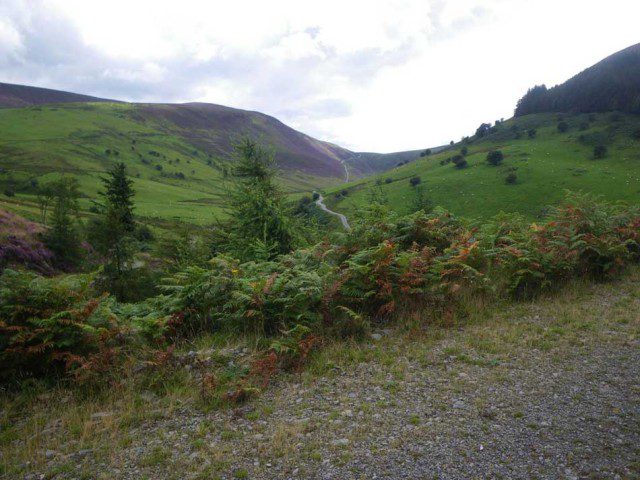 Valley Roads