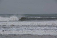 Autumn Swell