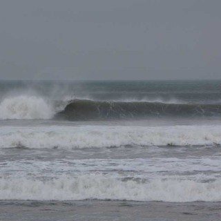 Autumn Swell