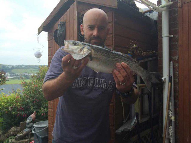 Bass