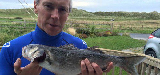 Bass