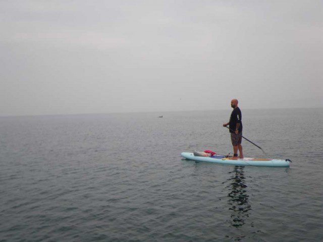 Shem with Dolphin in background