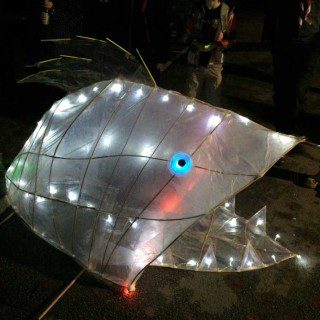 Blue-eyed Fish