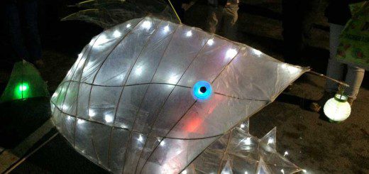 Blue-eyed Fish