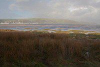 High Tide