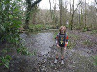 Morgan in the Woods