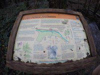 Woodland Notice