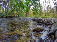Stream
