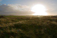 Ynyslas Skies