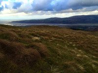 Dyfi Estuary
