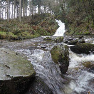 Cascade at Hafod