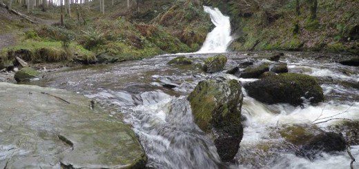 Cascade at Hafod