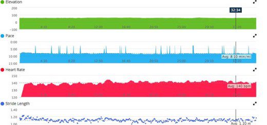 Garmin Advanced Run Dynmaics