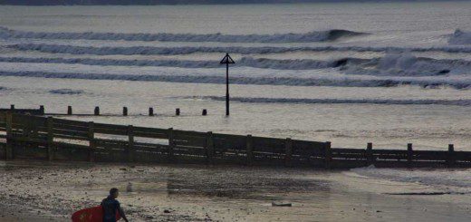 Looking Back at the Surf