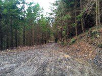 Muddy Trails