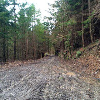 Muddy Trails