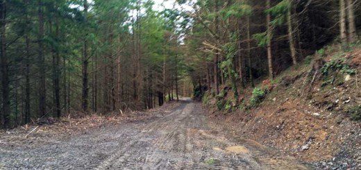 Muddy Trails