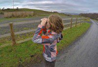 Spotting Lions in Borth