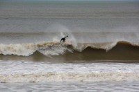 Surfer