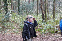 Laser tag in the woods