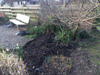 Bare Ground Ready for planting