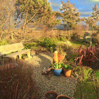 Late Winter Garden
