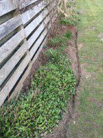 Morgan's Edging