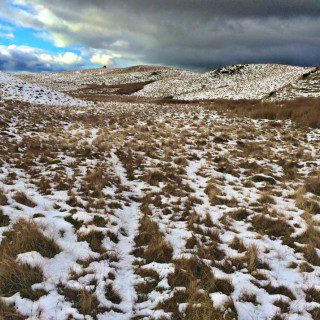 Snowy Hills