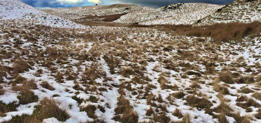 Snowy Hills