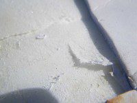 Thin layer of glass